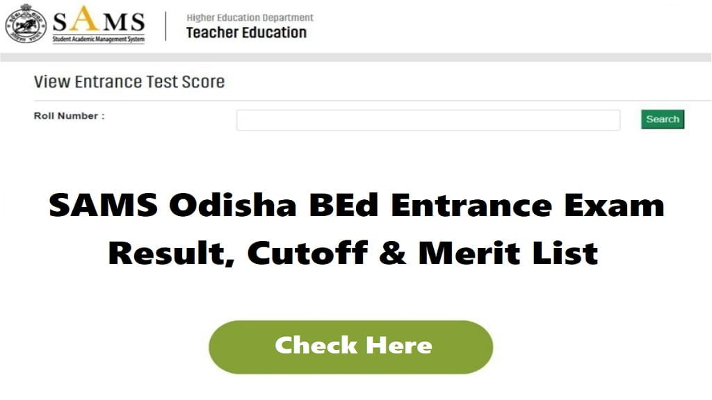 odisha b.ed result