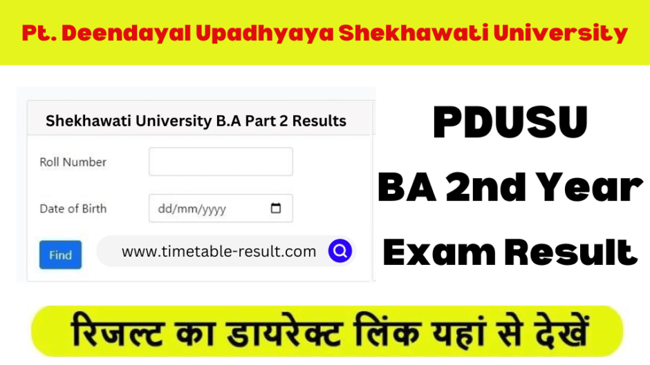 PDUSU BA 2nd Year Result 2024 Shekhawati University Results